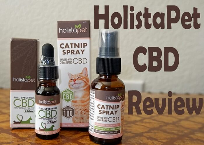 CBD For Pets: The Latest Trend in Wellness and Lifestyle
